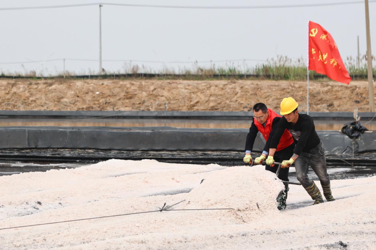 港產(chǎn)黨支部開展&ldquo;鹽話初心 行擔(dān)使命&rdquo;2.jpg